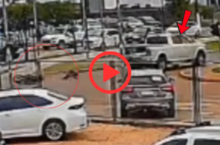  Empresário avança semáforo e provoca morte de mulher em motocicleta  