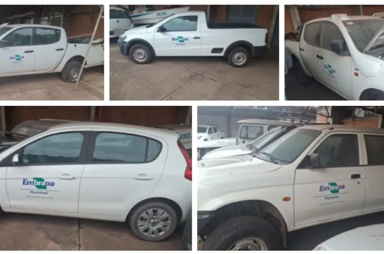 Embrapa realiza leilão com caminhonetes 4x4, barco e gerador por valores a partir de R$ 350