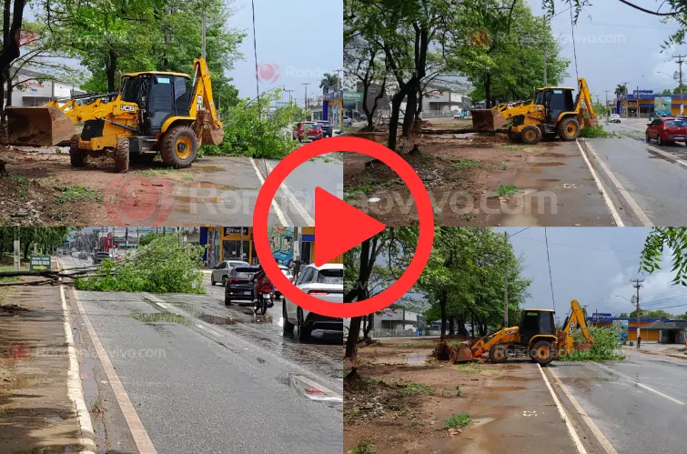 Ventania derruba árvore na avenida Jorge Teixeira durante chuva repentina