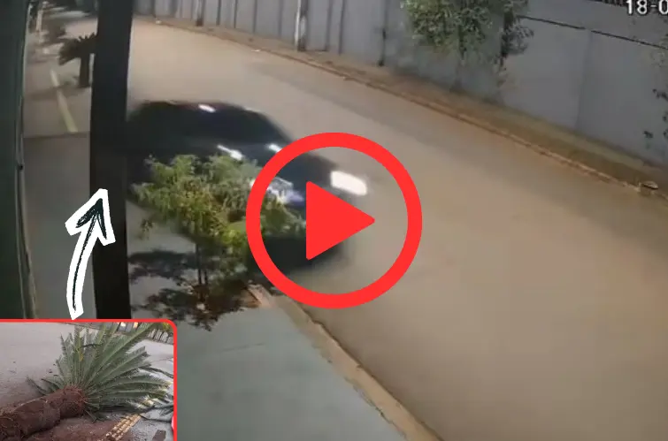 Motorista sobe calçada, causa danos e foge na zona Norte de Porto Velho